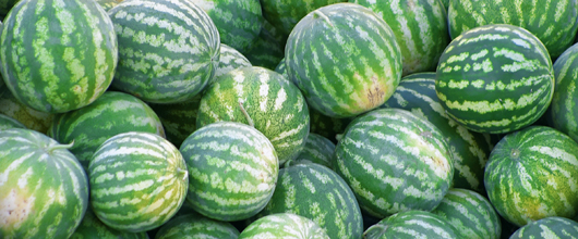 watermelons